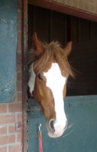 Jenny